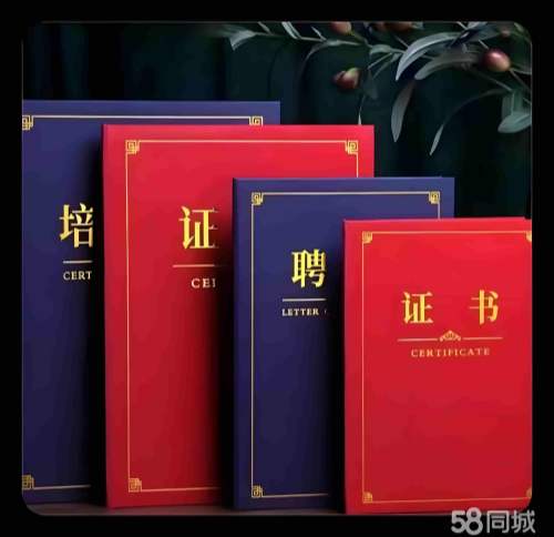 如何仿制证件:传统手工 vs 数码印刷,谁更逼真?